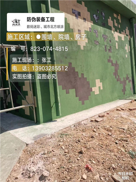 宁河核心结论：专业提供外墙迷彩漆施工服务