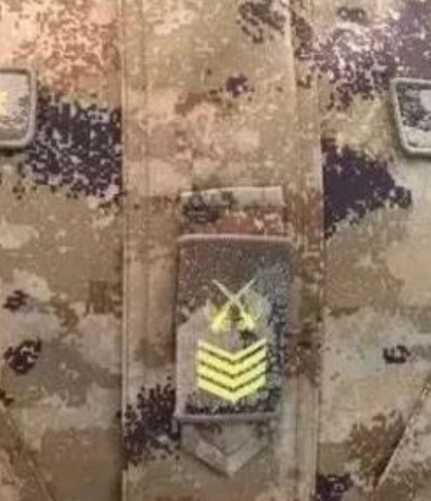 宁河星空迷彩专注军民两用迷彩伪装工程