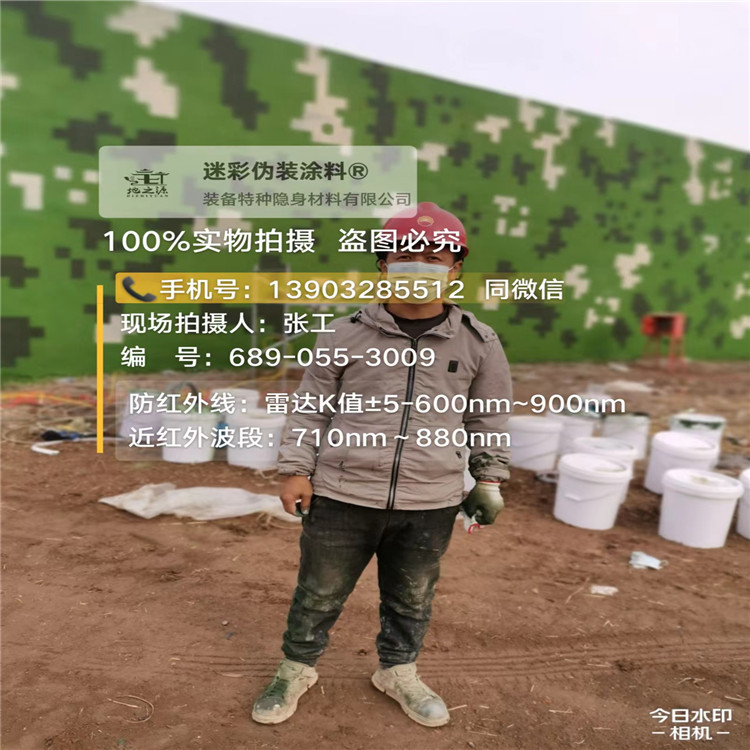 宁河​包括外墙、护坡、水泥地面建筑物的迷彩喷涂